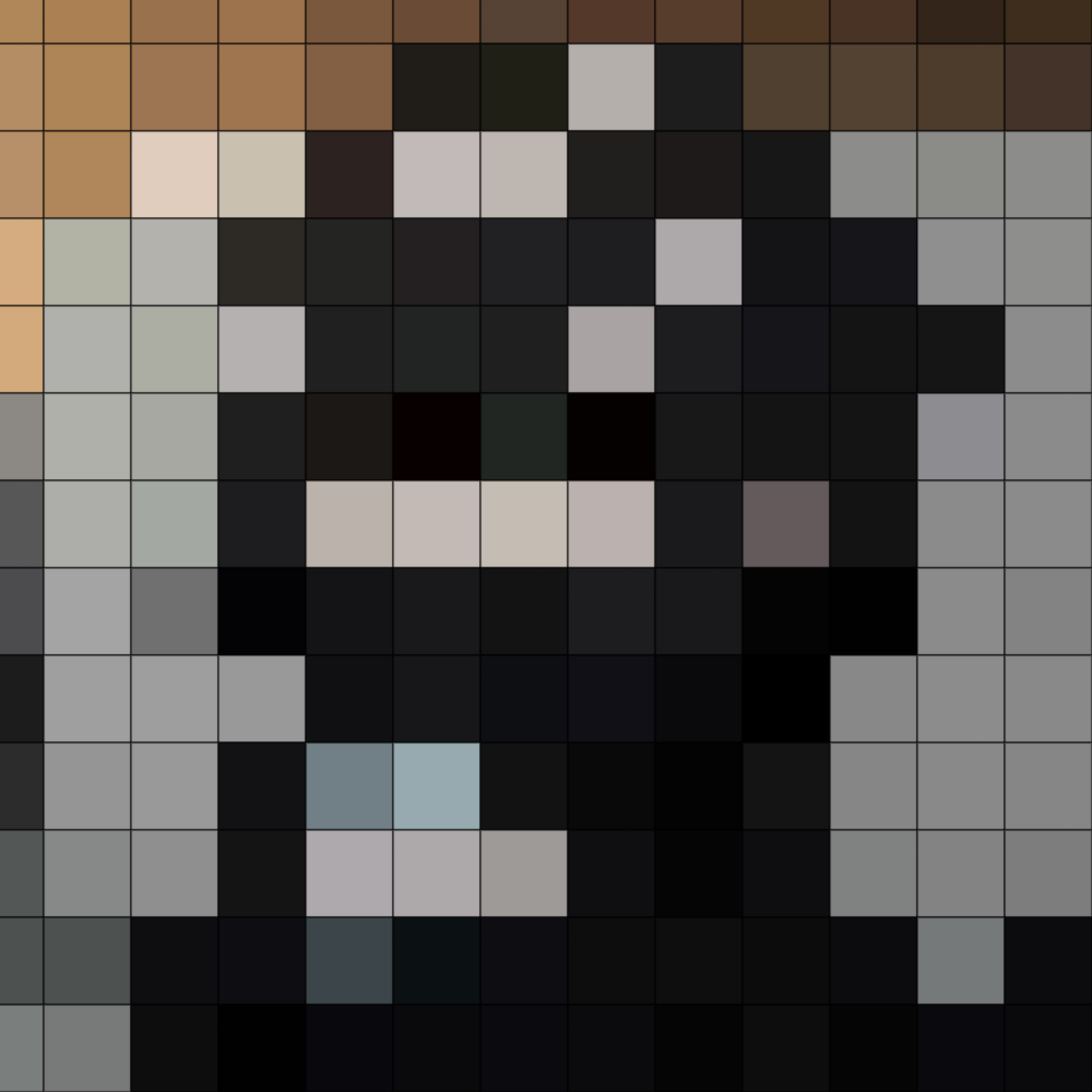 Zena pixel avatar